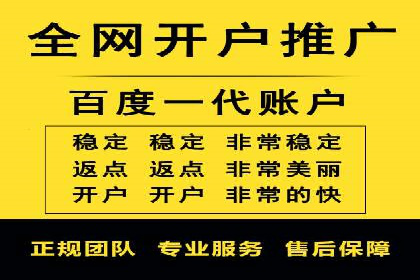 百度推广实战攻略：案例与技巧