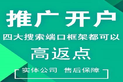 百度竞价SEM深度解析：某行业成功推广经验